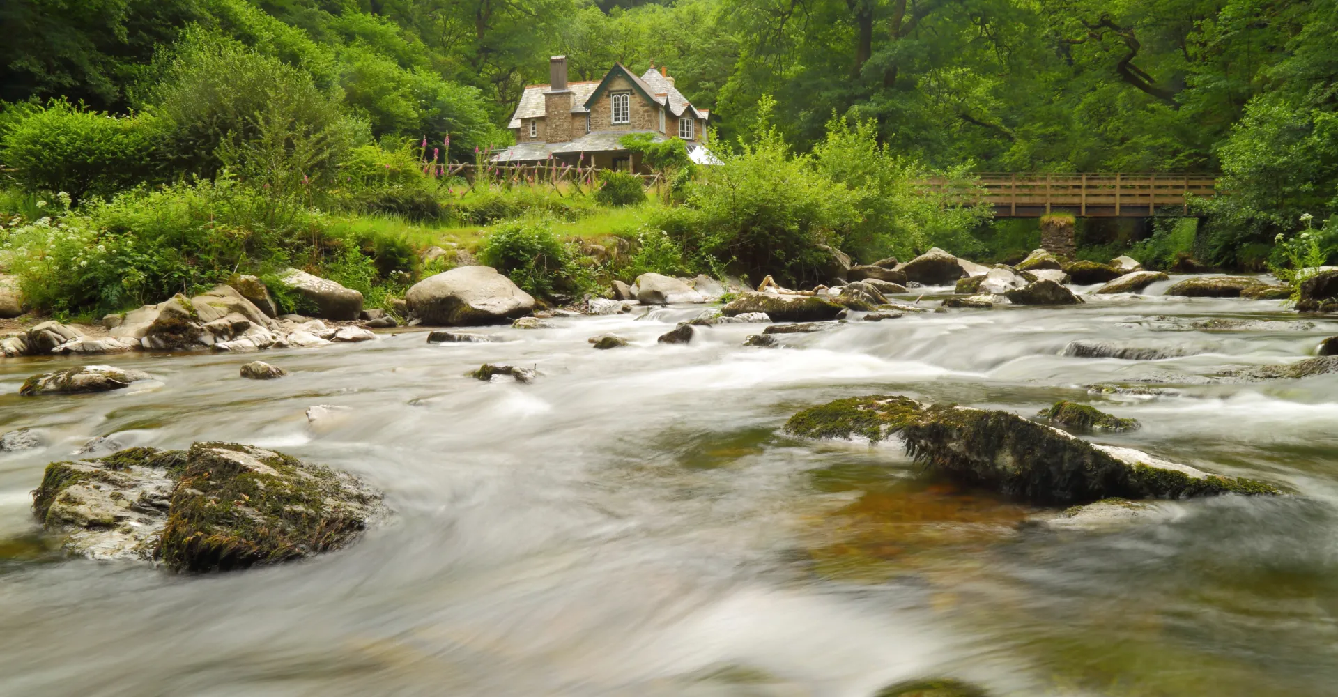 image-1793361338212.webp